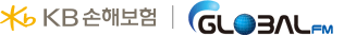 KB손해보험